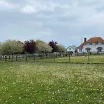 Dans Un Petit Haras