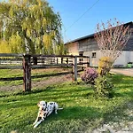 Dans Un Petit Haras