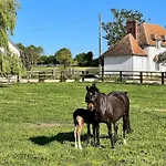 Dans Un Petit Haras Hébergement de vacances *