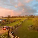 Dans Un Petit Haras Mézidon-Canon