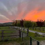 Dans Un Petit Haras Hébergement de vacances