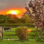 Dans Un Petit Haras Hébergement de vacances *