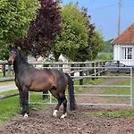 Dans Un Petit Haras *