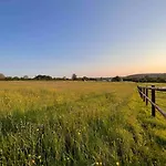 Dans Un Petit Haras Mézidon-Canon