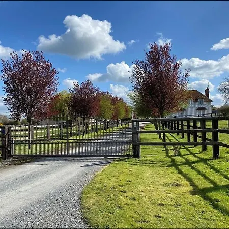 Dans Un Petit Haras *