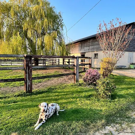 Dans Un Petit Haras