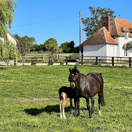 Dans Un Petit Haras Semesterbostad *