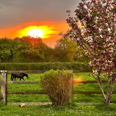 Dans Un Petit Haras 度假居 *