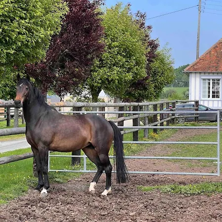 Dans Un Petit Haras *