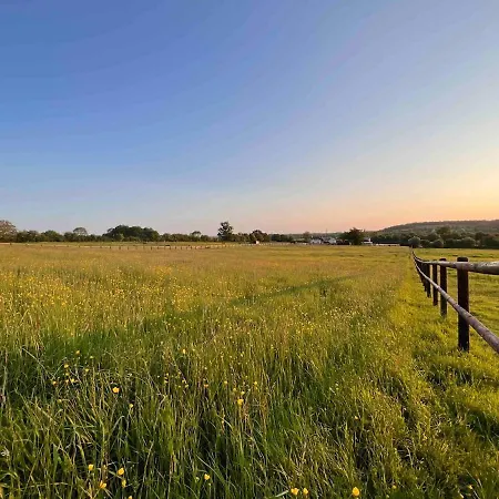 Dans Un Petit Haras Mézidon-Canon